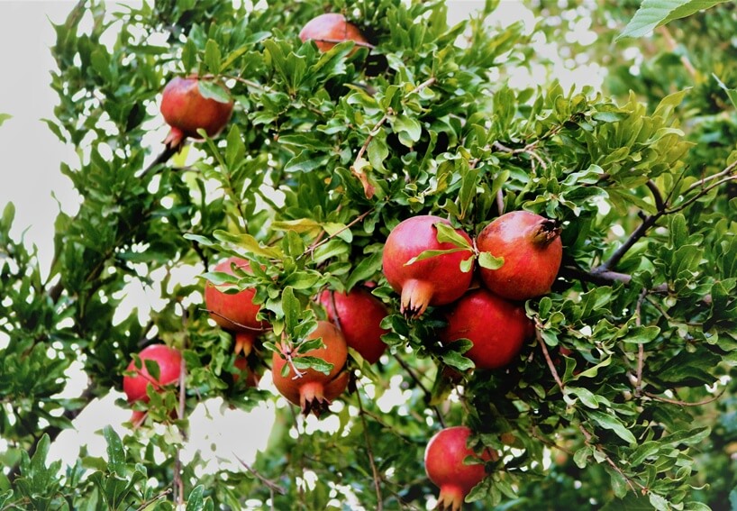 שבר, חיבור, התחדשות: לקט תכנים חדשים לקראת ראש השנה